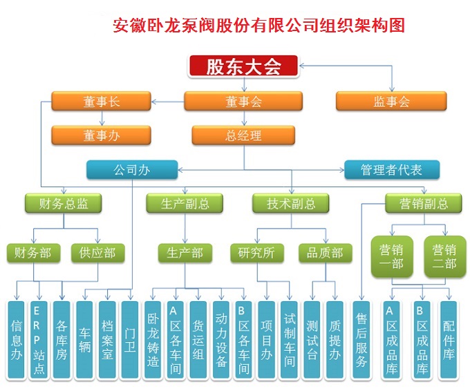 安徽臥龍泵閥組織架構(gòu)